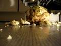 Adidas Predators rip apart a celeriac