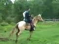 Lance-Sword-Quintain