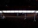 Roxie: For Sale -Video 2