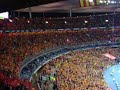 final coupe de la ligue 2008