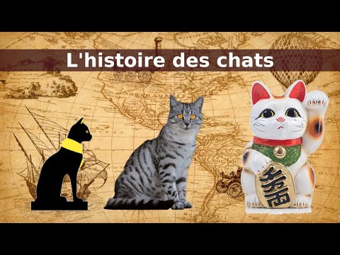 Image de prévisualisation YouTube