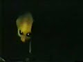 Extraterreste A-51 Extraterreste A-51