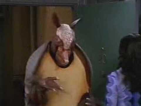ARMADILLO
