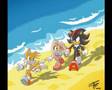 Tribute to Shadow the hedgehog-Whatsername
