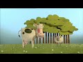 Animals Save The Planet