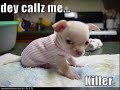funny