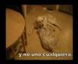 SIRAY NUEVA VIDA