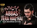 Download Abbas As Tera Haq Hai Mir Hasan Mir New Noha 2017 1439 Hd Mp3 Song