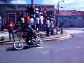 CARRERA PASOLAS SEIBO:::