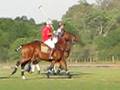 Buenos AIres Polo