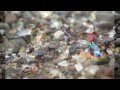 Glass Beach Fort Bragg 2012 Cruising the ...