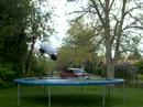 Trampoline Skills!!!