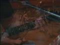 Metallica TV report Openair St. Gallen 1999