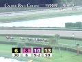 CALDER RACE COURSE, 2009-11-20, Race 7