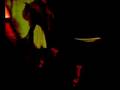 videos de tvc bailando una milonga