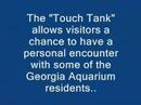 Georgia Aquarium