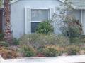 Lake Worth's Beautifull Homes
