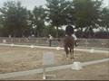 montage lamotte 2008