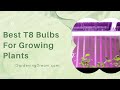 Best T8 Bulb For Aquarium Plants