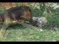 Ecocultura - Paciencia
