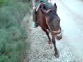 Un video en un viaje de mi instituto...
