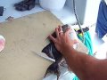 View Video