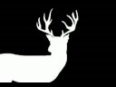 Movie Title Sequence Project