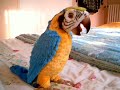2009 10 31 34500