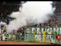 DRUGHI BIANCONERI JUVENTUS!!