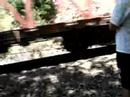 train train