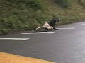 longboarding in the great northwest