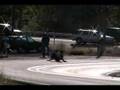 longboarding in the great northwest