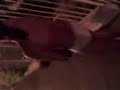 Andando de Cueca na Rua - CMG