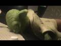 videos de More Yoda by the pool