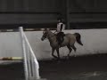 Solitare doin his warm up at a lesson with Callum McDonald