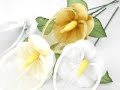 For the very best in italian wedding and party favors.