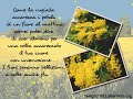 Sei Speciale
