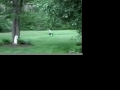 2009 great summer.mov