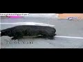 ► SUPER  CAIDAS Y GOLPES ◄
