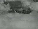 Pigs Can Fly - Part 3