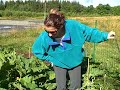 giant zuchini! giant zuchini!