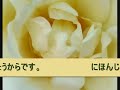 Japanese Lesson - Speaking (1)