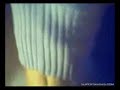 Agustina keira-keyra mejor que nunca