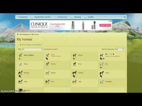 how to bid on howrse