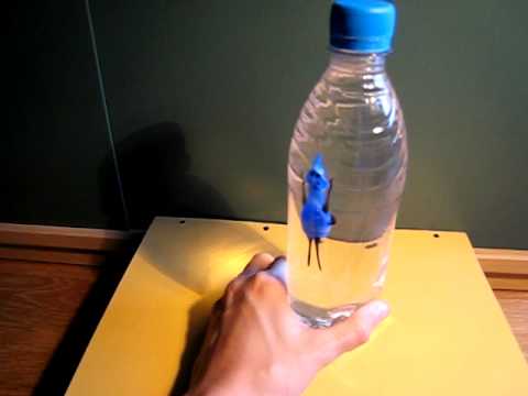 wasser