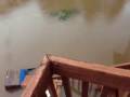 My flooded backyard!