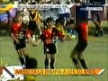 Artigo do Mister Z� Ant�nio