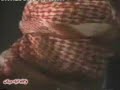 Ahwazi Arabs protested on 19th of Dec 2006 against the execution of Ahwazi arab right's activist : Malek Banitamim, Ali Motayeri, Mohammad-redha Asakereh