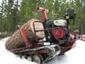 montanatree.com low impact forestry