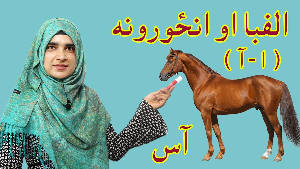 The first grade Pashto book _ Lesson 1 / د پښتو کتاب _ لومړی لوست _ لومړی ټولګی